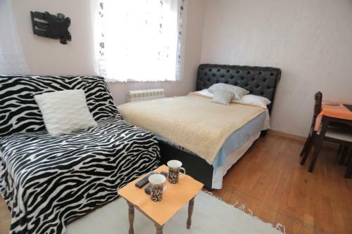 Apartments Leon