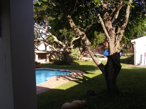 Hostal Falcon Crest Self Catering Cottages