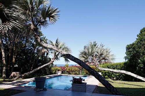 Buccaneer Bay