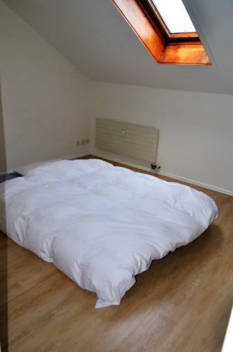Apartamento Beautiful Duplex In Basel Near Baselworld