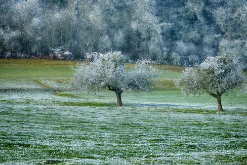 Belair Beinwil - B&B
