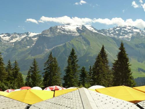 Albergue Berglodge Ristis
