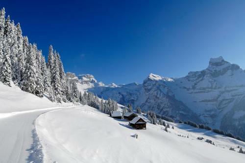 Albergue Berglodge Ristis