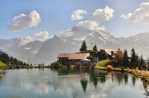 Albergue Berglodge Ristis