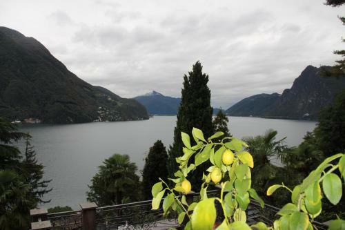 Villa Barony Le Pergole