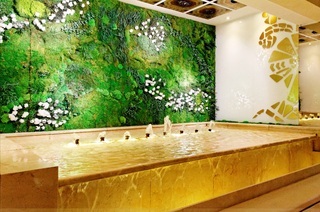 Hotel Mayorazgo