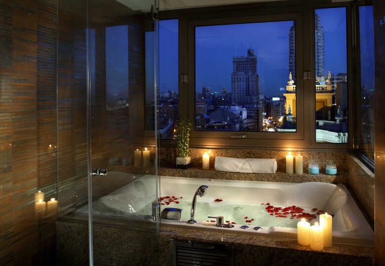 Hotel Meli� Madrid Princesa