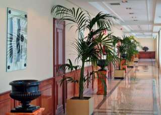 Hotel Meli� Barajas