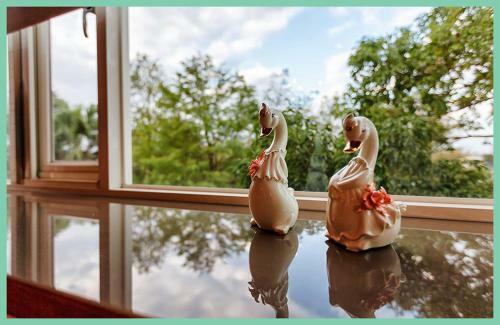 Bed & Breakfast Spring Villa