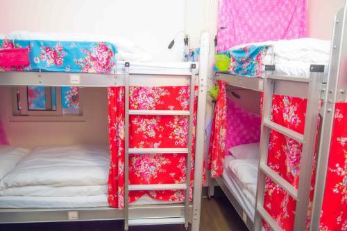 Albergue Small Eye Backpacker