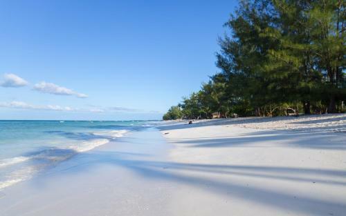 Bed & Breakfast Lazy Beach House