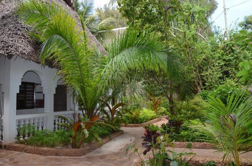 Bed & Breakfast Faridu Beach Bungalows