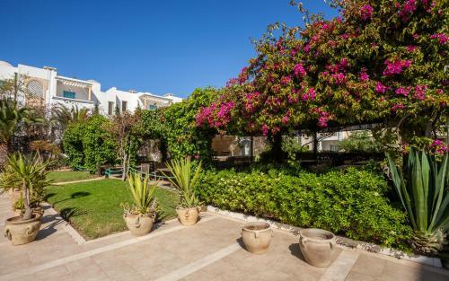 Apartamento Le Corail Appart'hotel Yasmine Hammamet