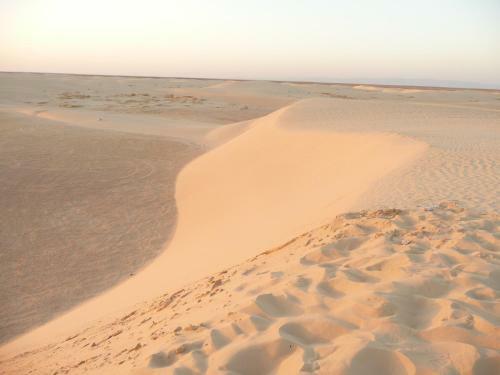 Hostal Dar Tozeur