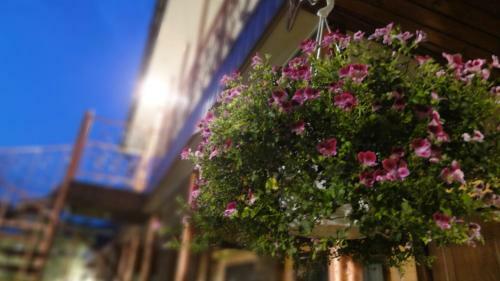Hostal Villa Sosnovy Bor