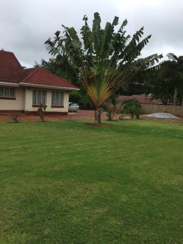 Palm Villa