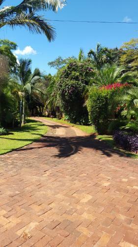Palm Villa