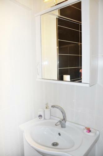 Rooster Hostel