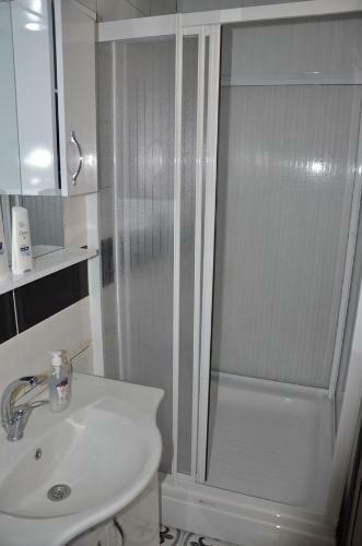 Rooster Hostel