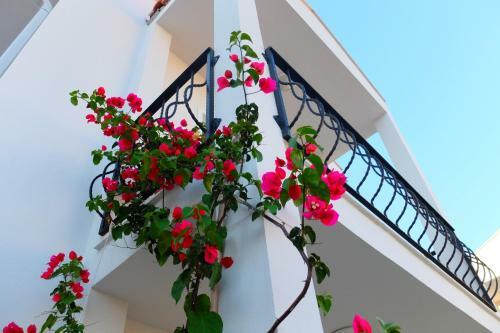 Kalina Hotel
