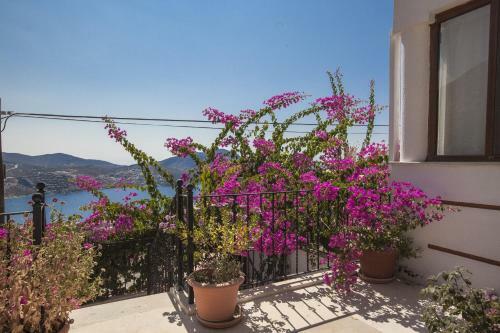 Villa Asya
