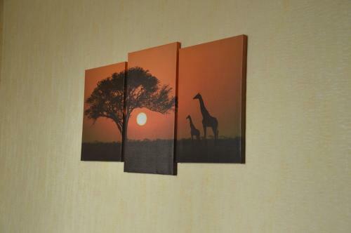 Hostel New