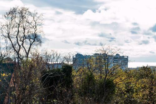 Apartment Solnechnyj Gorod