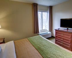 Hotel Comfort Inn And Suites