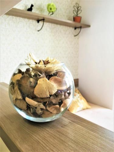 Apartment Nika