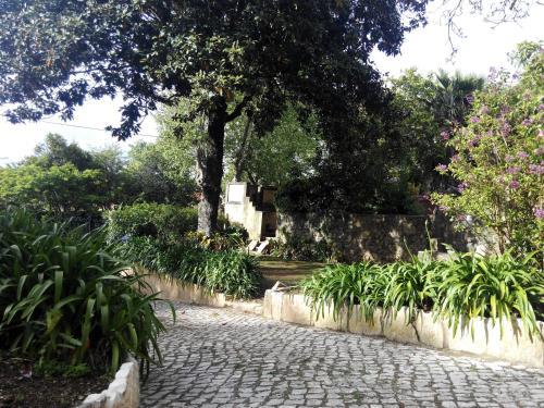 Bed & Breakfast Guest House Villa Dos Poetas