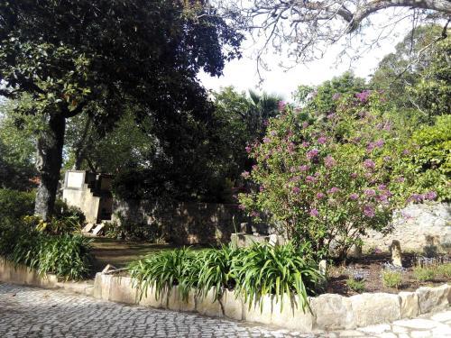 Bed & Breakfast Guest House Villa Dos Poetas