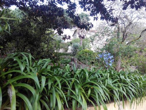Bed & Breakfast Guest House Villa Dos Poetas