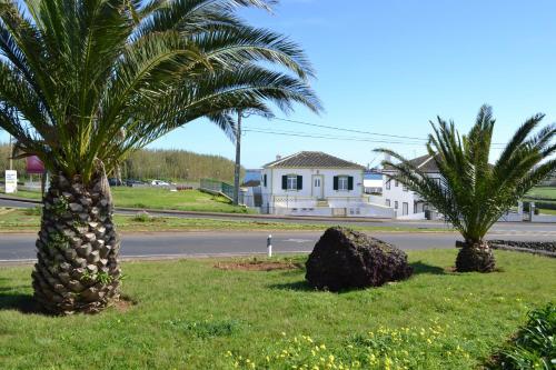 Boa Vista Apartment