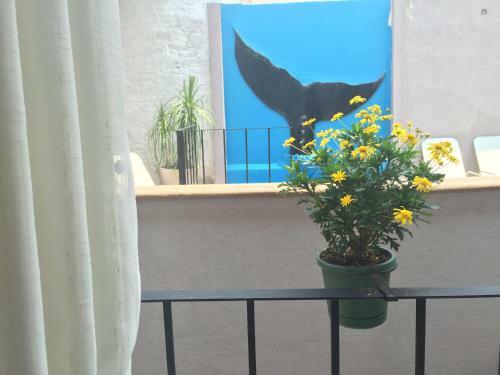 Apartamento Suites Colibri
