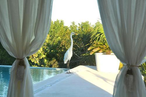 Hotel Holbox Casa Punta Coco - Adults Only