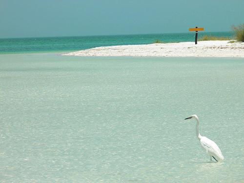 Hotel Holbox Casa Punta Coco - Adults Only