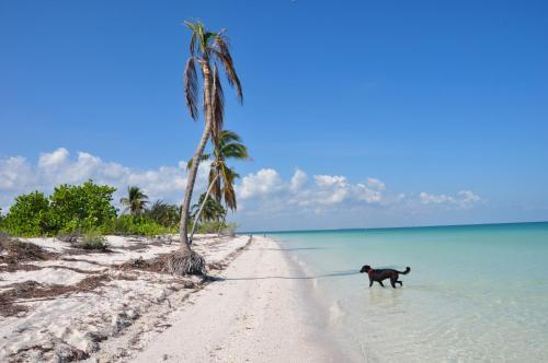 Hotel Holbox Casa Punta Coco - Adults Only