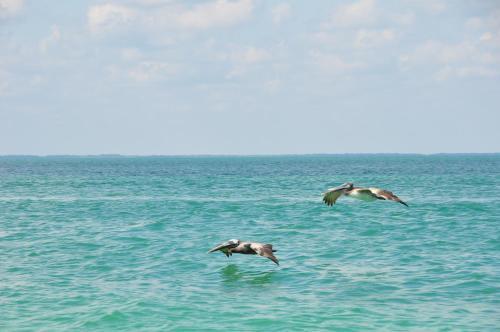 Hotel Holbox Casa Punta Coco - Adults Only