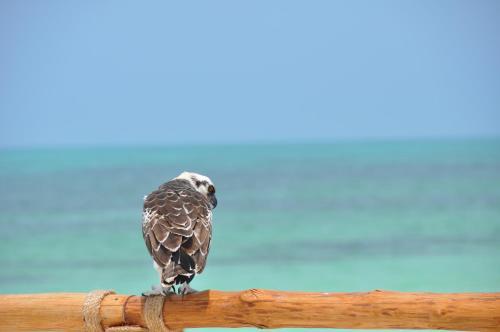 Hotel Holbox Casa Punta Coco - Adults Only