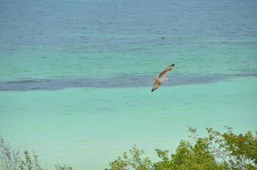 Hotel Holbox Casa Punta Coco - Adults Only