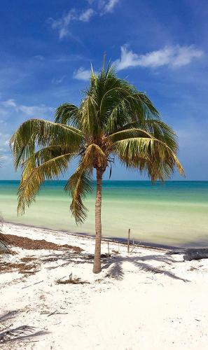 Hotel Holbox Casa Punta Coco - Adults Only