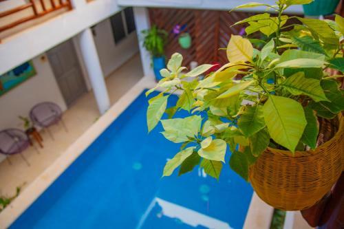 Hotel Mestizo Gallery