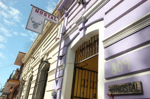 Albergue Hostal Mazatlan