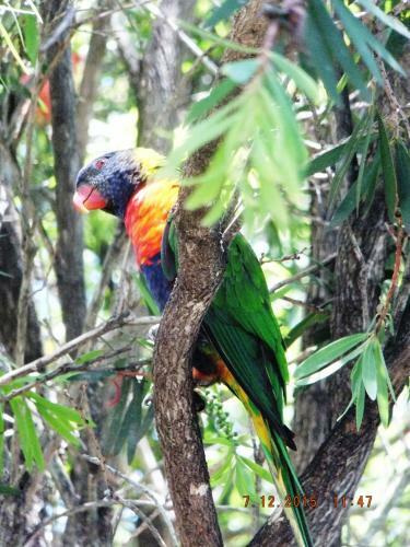 Torquay Terrace Bed & Breakfast