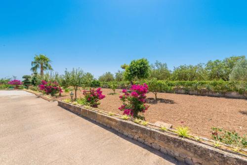 Villa Can Carretxet