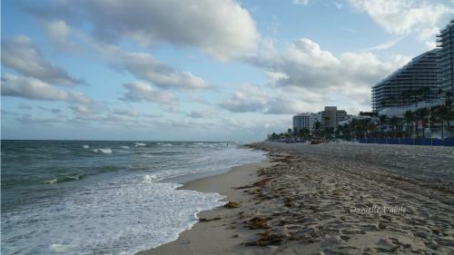 Beach Ridge Apartment