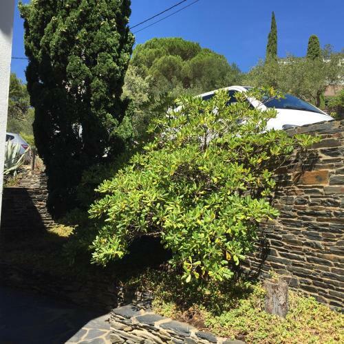 Apartamento Casa Del Pi