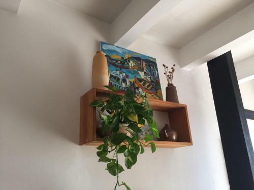 Apartamento Casa Del Pi