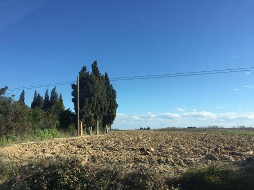 Apartamento Casa Del Pi