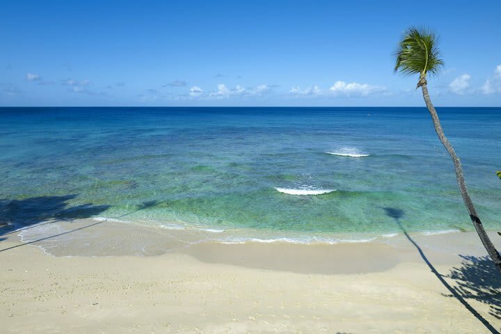 Hotel Tamarind Cove